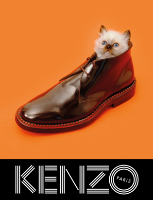 KENZO FW13 Campaign