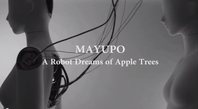 © MAYUPO A Robot Dreams of Apple Trees
